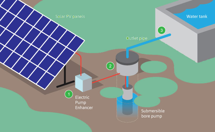 ecosys